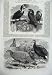 1870 Birds Zoological Gardens Hornbills Pheasants Art