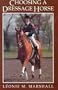 Choosing a Dressage Horse