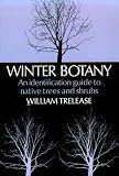 Winter Botany