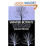 Winter Botany