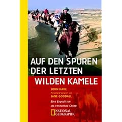 Auf den Spuren der letzten wilden Kamele