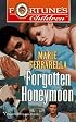 Forgotten Honeymoon (Fortune's Children)