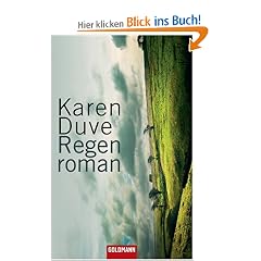 Regenroman