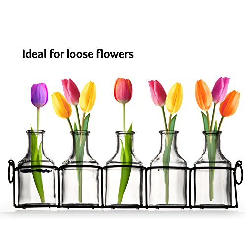 Set of 5 Clear Glass Mini Vases in Black Metal Rack, 5Inches