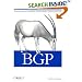BGP: Building Reliable Networks with the Border Gateway Protocol