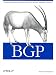 BGP