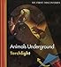 Animals Underground (My First Discoveries: Torchlight)