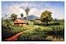 20x24Cuban Painting CANVAS.TEJADA landscape.Cuba ART