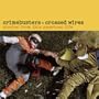 Crimebusters & Crossed Wires: Stories from This American Life