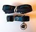 Jacksonville Jaguars Pet Accessories Set - Small (6' Leash, Collar, and ID Tag)
