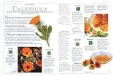 Vegetable Gardening: From Planting to Picking - The Complete Guide to Creating a Bountiful Garden