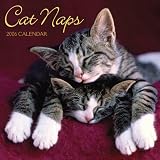 Cat Naps 2006 Calendar image