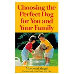 Choosing the Perfect Dog for You and Your Family