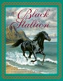 The Black Stallion