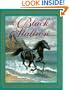 The Black Stallion
