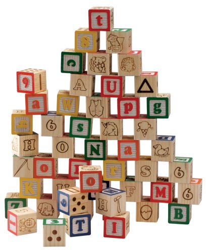 Maxim 50 Pc. Jug of Blocks