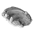 Stone Bird Splash Guard