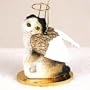 Scottish Fold, Tort/White Tiny Ones Cat Angel (2 in)