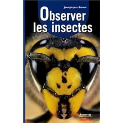 Observer les insectes