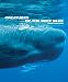 Creatures of the Deep Blue (Wild Things) (Wild Things)