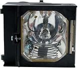 Photo : Sony LMP-H120 Replacement 120W UHP Lamp for VPL-HS1