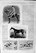 1900年のトマスJenningsの馬ChamantラグランジュGladiateur Monarque Vulcan Waugh