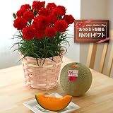 �y���������z�������ƐԃJ�[�l�[�V�����̃Z�b�g�y�x��Ă����ꂵ����̓��M�t�g�z (���i�C���[�W)