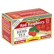 Bigelow Red Raspberry Herbal Tea, 20-Count Boxes (Pack of 6)