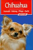 Chihuahua. Auswahl - Haltung - Pflege - Pflege.