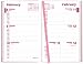 Brownline 2010 Pink Ribbon Weekly Planner, 6 x 3.18 Inches, Pink (CB403.PNK)