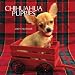 Chihuahua Puppies 2007 Mini Calendar