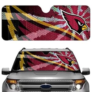 NFL Atlanta Falcons Auto Sun Shade