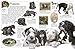 Eyewitness: Dog: Learn All About Dogsâ€”from Wolves and Jackals to Family Pets and Show Dogs (DK Eyewitness)