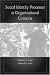 Social Identity Processes in Organizational Contexts