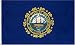 New Hampshire US State Flag - 3 foot by 5 foot Polyester (NEW)