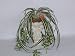 Cherub Spider Plant Arrangement