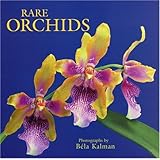 rare orchids