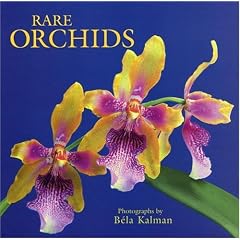 Rare Orchids