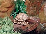 Beckett #7150010 Turtle Pond Art Spitter