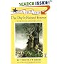 The Day It Rained Forever: A Story of the Johnstown Flood (Once Upon America)