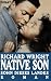 Native Son. Sohn dieses Landes. Roman. (Broschiert)