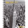2011 New York Deluxe Diary