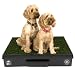 Kitchen & Housewares : Pet Loo Indoor Yard, Large