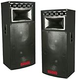 Patron by Mr Dj PSD5000 Professional Dual 15 Inch 8 Way Speaker 5000 Watts Max Peak Momentary Power