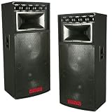 Patron by Mr Dj PSD5000 Professional Dual 15 Inch 8 Way Speaker 5000 Watts Max Peak Momentary Power