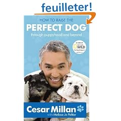 How to Raise the Perfect Dog: Through puppyhood and beyond