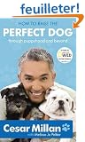 How to Raise the Perfect Dog: Through puppyhood and beyond