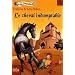 Le cheval indomptable