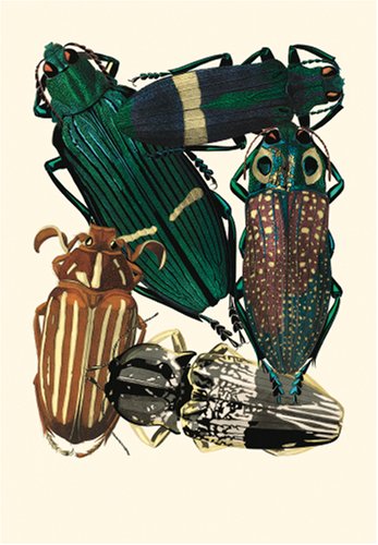 Botanicals: Butterflies & Insects under General in The Books Store