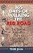 365 Days Of Walking The Red Road: The Native American Path to Leading a Spiritual Life Every Day (Religion and Spirituality)